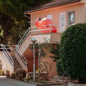 Apartament z 2 sypialniami